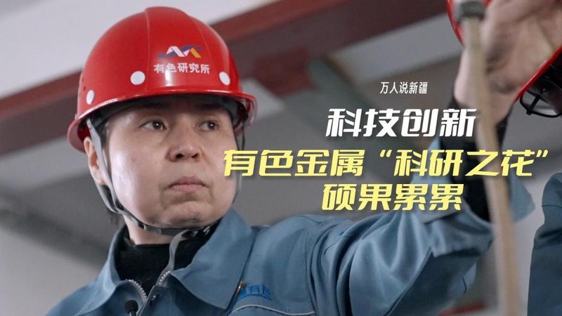 企业数据治理平台：功能解析与优缺点探讨